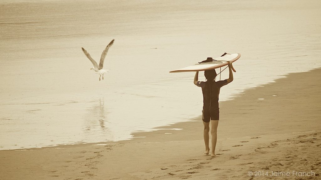 surfing hood, surfing, surf, longboard, surfer, seagull, Salinas, Asturias, Spain