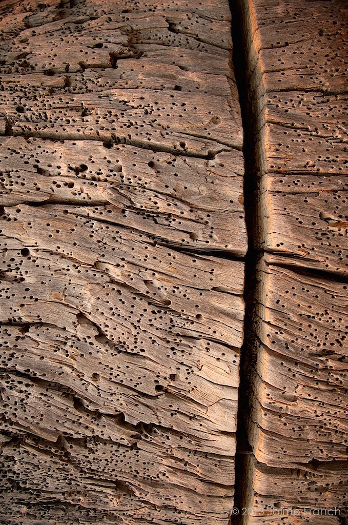 wood, detail, macro, abstract, abstracto, Baleares, Cala Saona, Formentera, madera, textura, texture